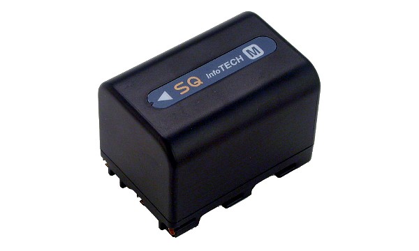 CCD-TRV408 Batterie