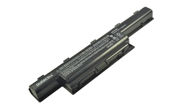 AS10D61 Batterie (Cellules 6)