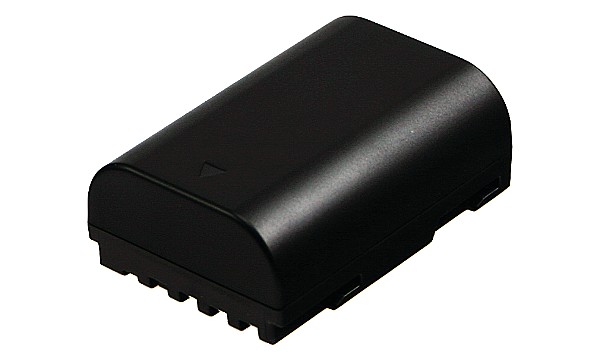 D-LI90 Batterie