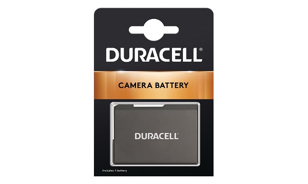 D4300 Batterie