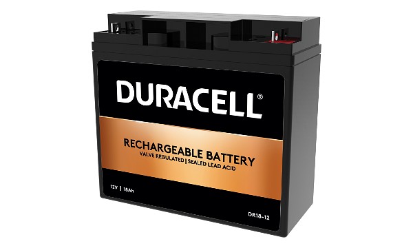 NP17-12 Batterie