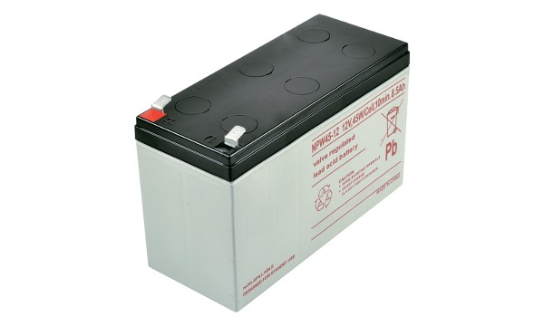 NPW45-12 Batterie