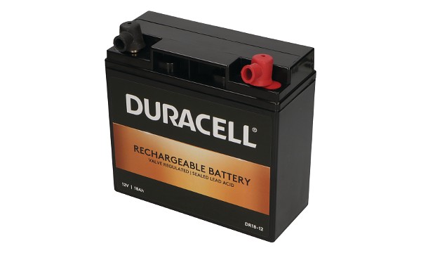 RT12180 Batterie