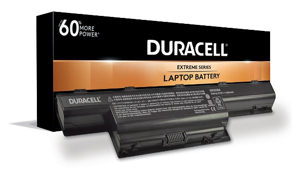 AS10D61 Batterie (Cellules 6)